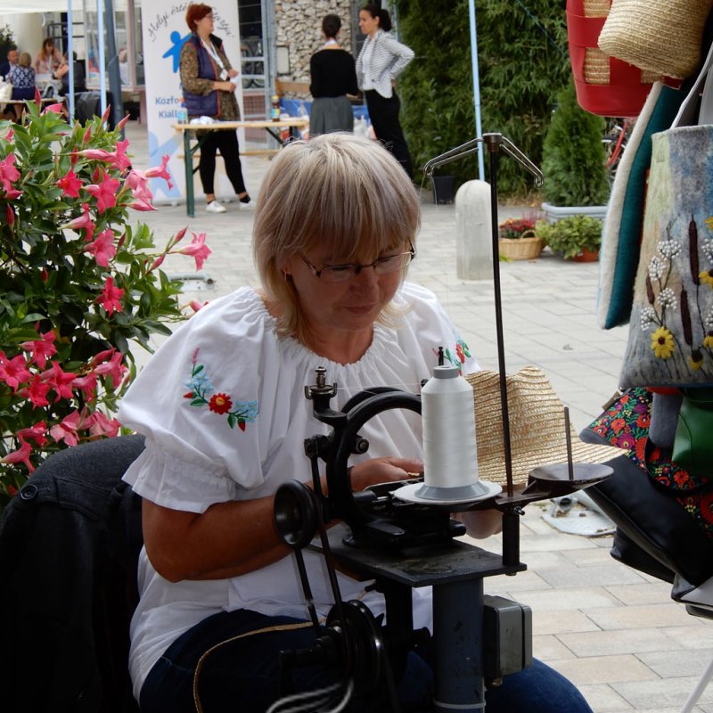 Helyi Értékek Startja 72